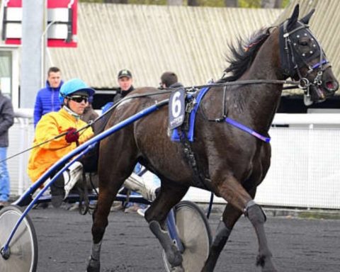 Quinté du samedi 17 janvier 2026 à Vincennes: les pronostics