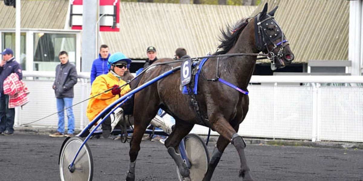 Quinté du samedi 17 janvier 2026 à Vincennes: les pronostics