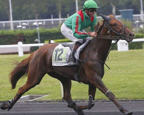 Quinté du dimanche 18 janvier 2026 à Vincennes: les pronostics