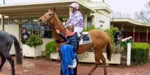 Quinté du lundi 19 janvier 2026 à Cagnes: les pronostics