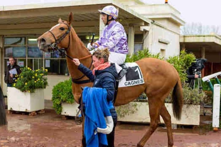 Quinté du lundi 19 janvier 2026 à Cagnes: les pronostics