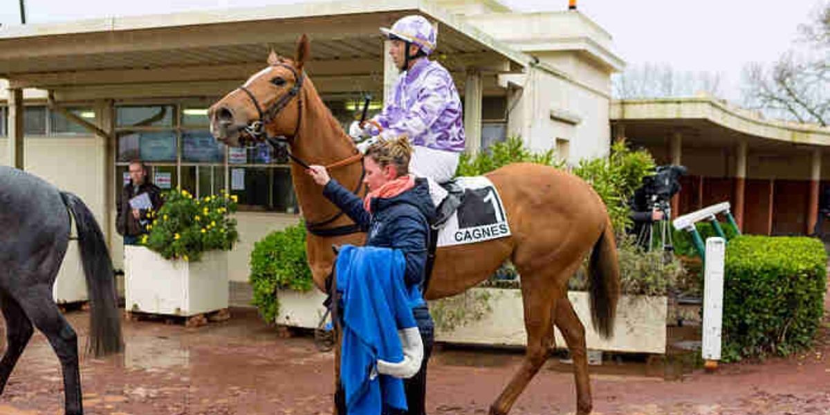 Quinté du lundi 19 janvier 2026 à Cagnes: les pronostics