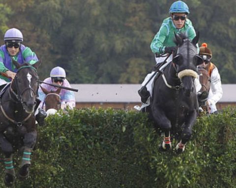 Quinté du mardi 20 janvier 2026 à Pau: les pronostics