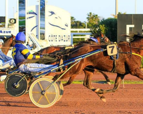 Quinté du mercredi 21 janvier 2026 à Cagnes: les pronostics