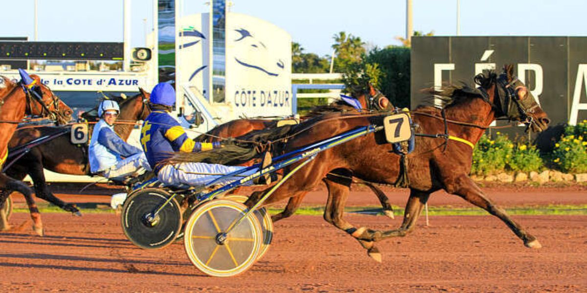 Quinté du mercredi 21 janvier 2026 à Cagnes: les pronostics
