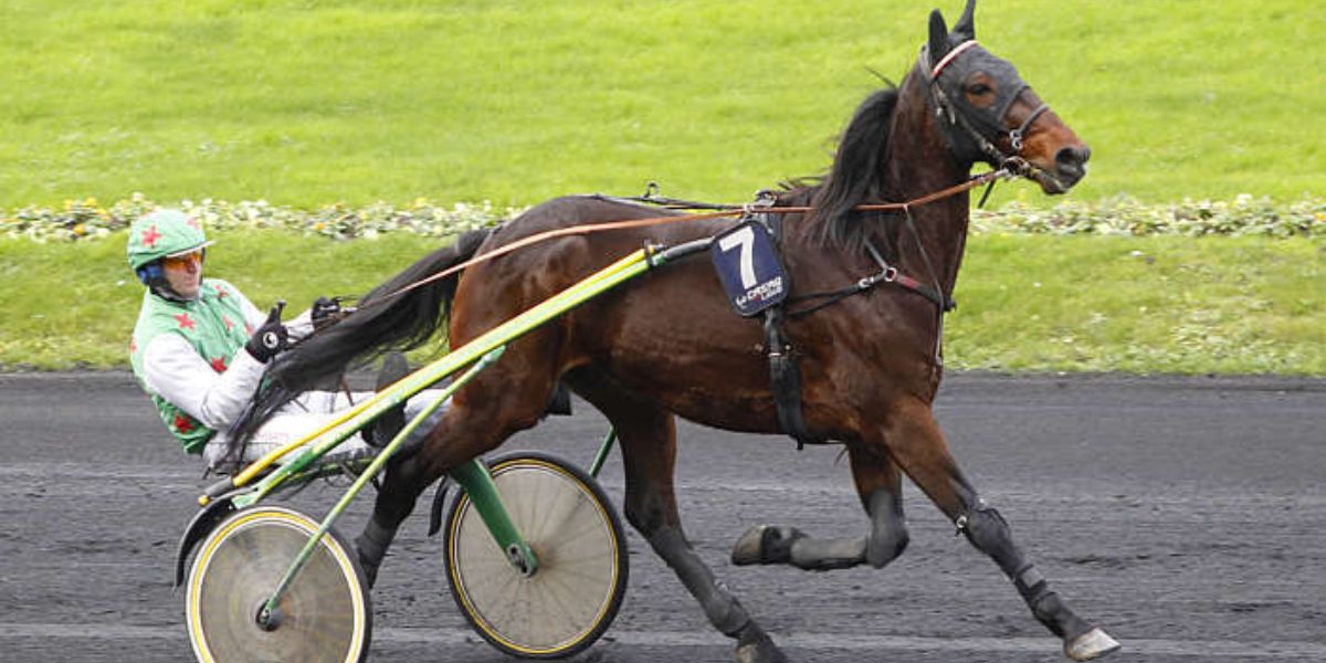 Quinté du jeudi 22 janvier 2026 à Vincennes: les pronostics