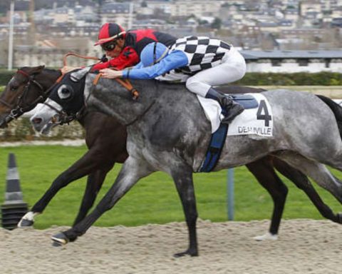 Quinté du vendredi 23 janvier 2026 à Deauville: les pronostics