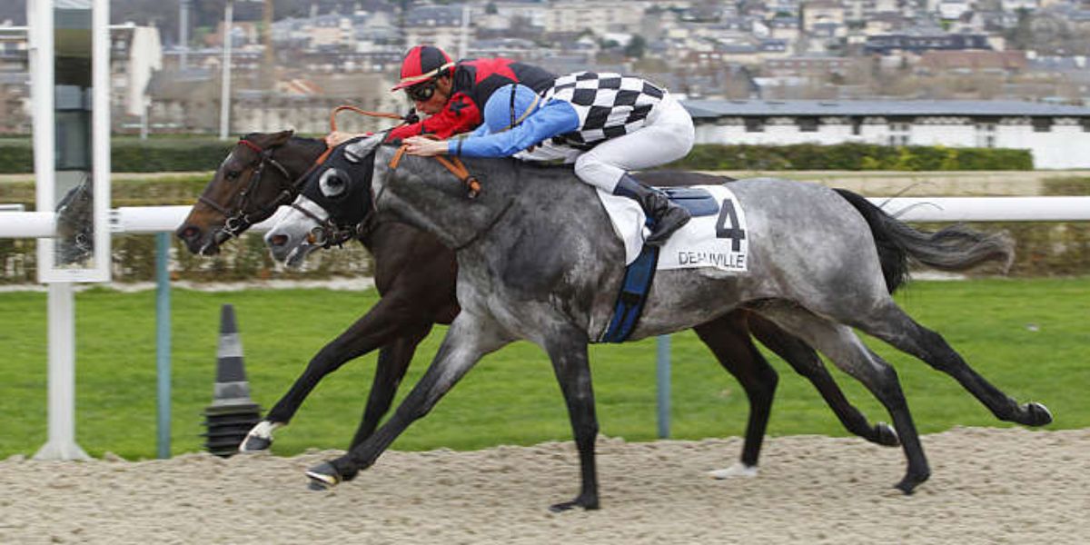 Quinté du vendredi 23 janvier 2026 à Deauville: les pronostics