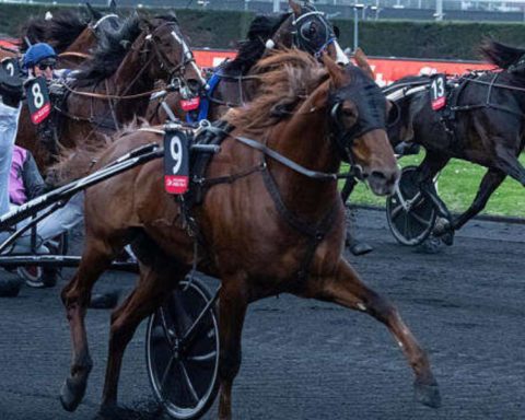 Quinté du dimanche 25 janvier 2026 à Vincennes: les pronostics