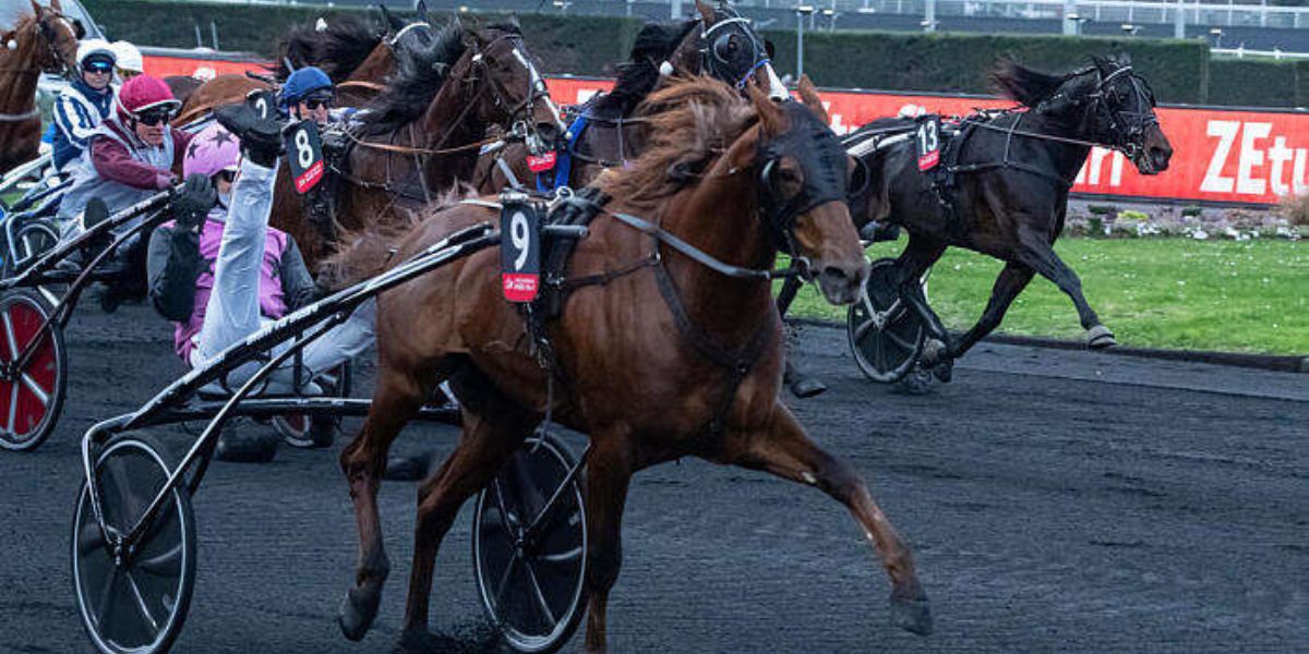 Quinté du dimanche 25 janvier 2026 à Vincennes: les pronostics
