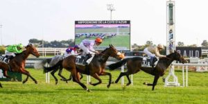 Quinté du lundi 26 janvier 2026 à Cagnes: les pronostics