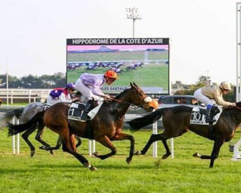 Quinté du lundi 26 janvier 2026 à Cagnes: les pronostics