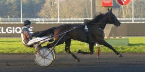 Quinté du mardi 27 janvier 2026 à Vincennes: les pronostics