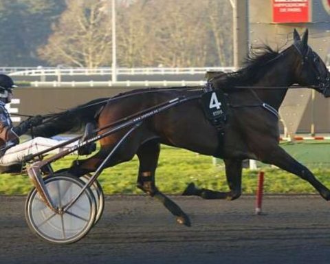 Quinté du mardi 27 janvier 2026 à Vincennes: les pronostics