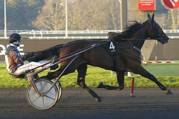 Quinté du mardi 27 janvier 2026 à Vincennes: les pronostics