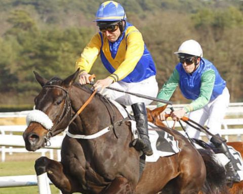 Quinté du mercredi 28 janvier 2026 à Pau: les pronostics