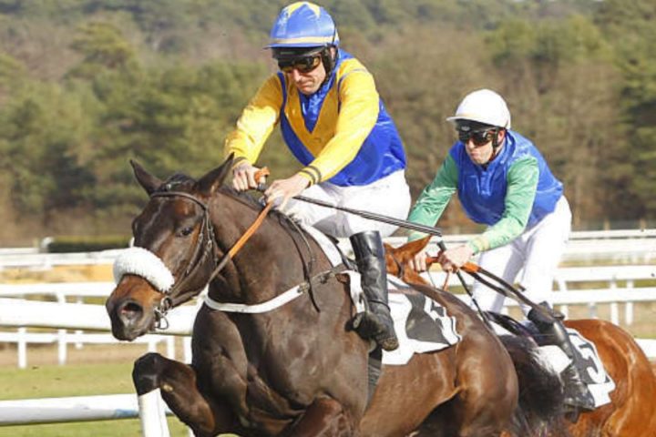 Quinté du mercredi 28 janvier 2026 à Pau: les pronostics