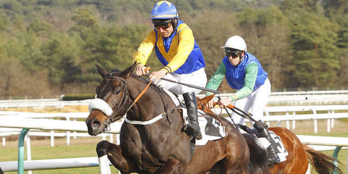 Quinté du mercredi 28 janvier 2026 à Pau: les pronostics