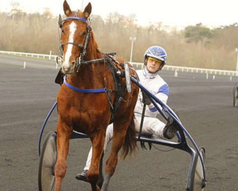 Quinté du jeudi 29 janvier 2026 à Vincennes: les pronostics