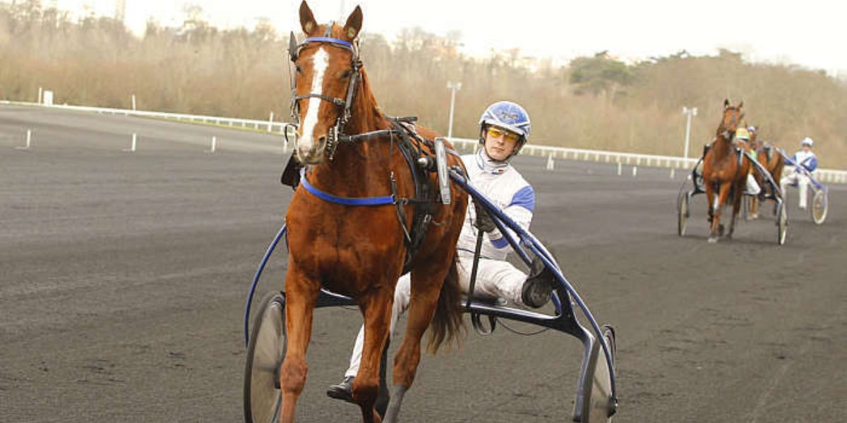 Quinté du jeudi 29 janvier 2026 à Vincennes: les pronostics