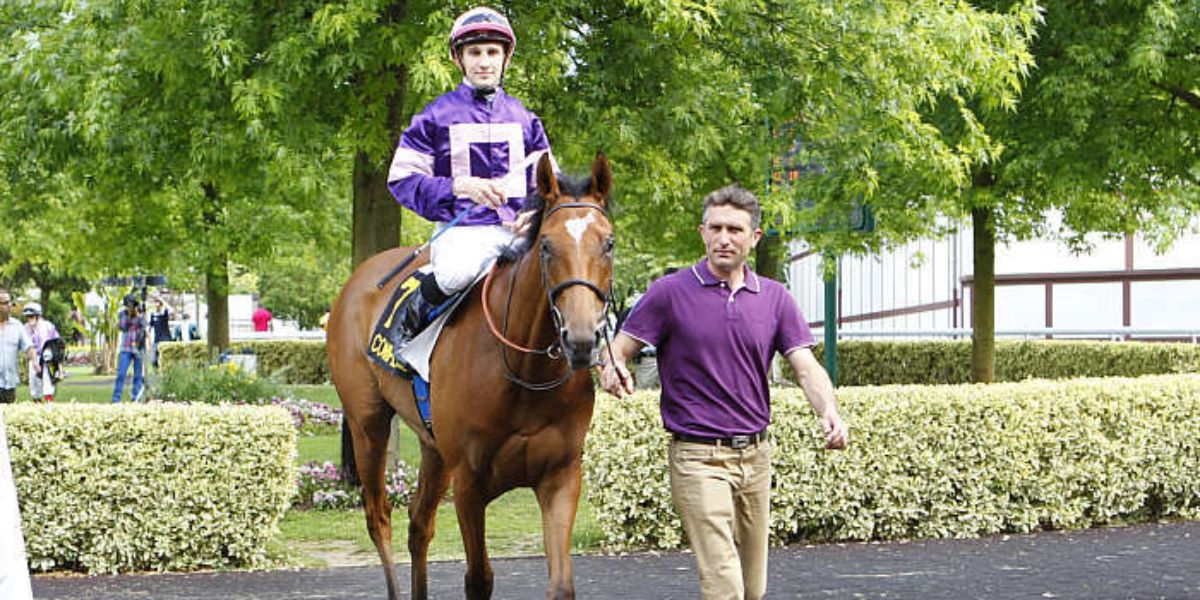 Quinté du vendredi 30 janvier 2026 à Deauville: les pronostics