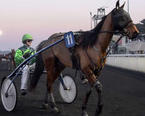 Quinté du samedi 31 janvier 2026 à Vincennes: les pronostics