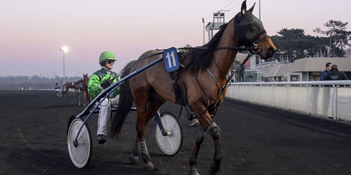 Quinté du samedi 31 janvier 2026 à Vincennes: les pronostics
