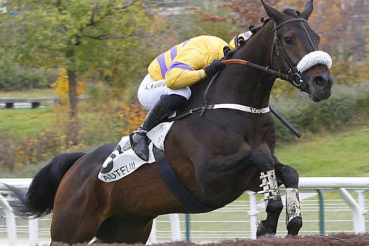 Quinté du dimanche 1er mars 2026 à Auteuil: les pronostics