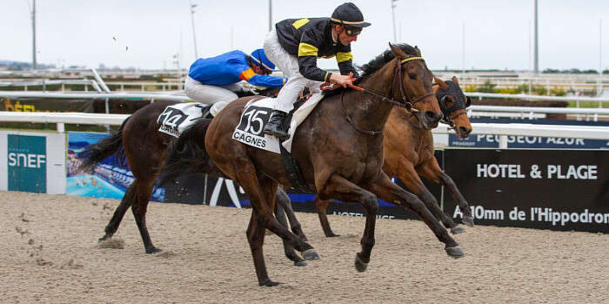 Quinté du mercredi 4 février 2026 à Cagnes: les pronostics