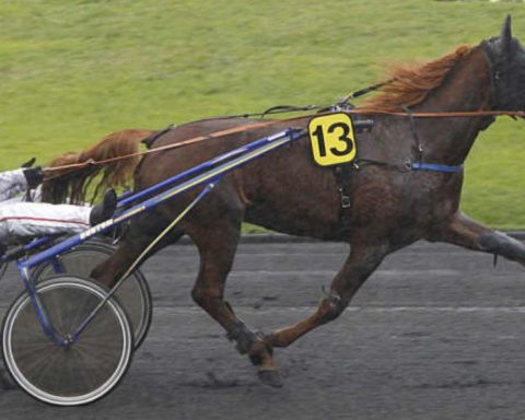 Quinté du jeudi 5 février 2026 à Vincennes: les pronostics