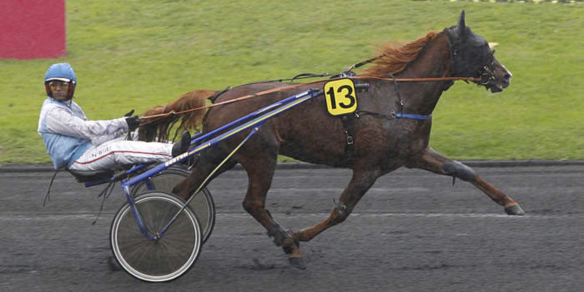 Quinté du jeudi 5 février 2026 à Vincennes: les pronostics