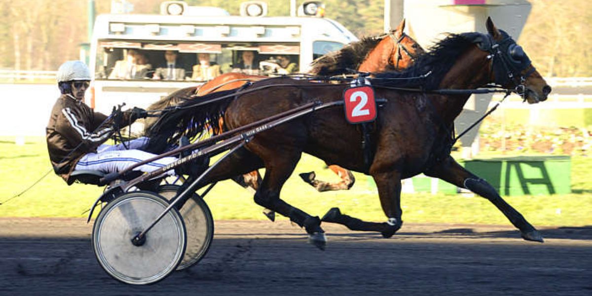 Quinté du vendredi 6 février 2026 à Vincennes: les pronostics