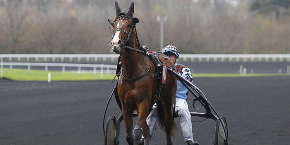 Quinté du samedi 7 février 2026 à Vincennes: les pronostics