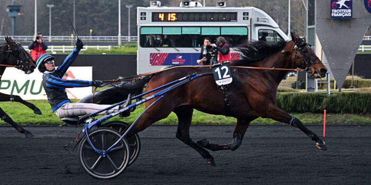 Quinté du dimanche 8 février 2026 à Vincennes: les pronostics