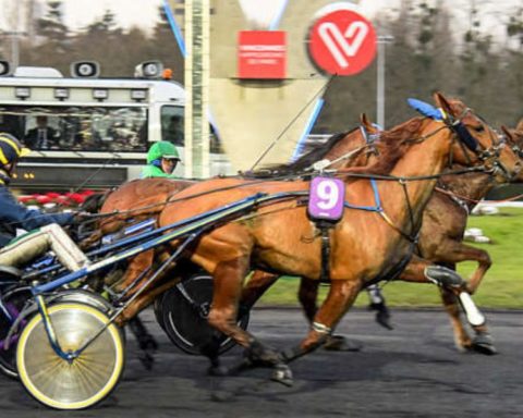 Quinté du mardi 10 février 2026 à Vincennes: les pronostics