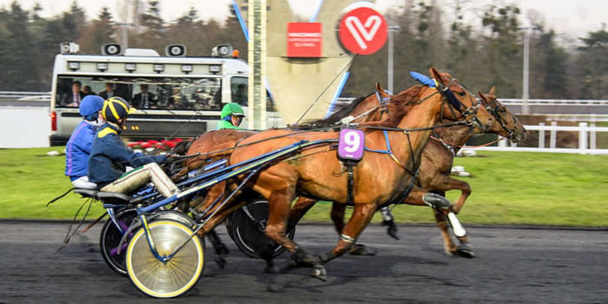 Quinté du mardi 10 février 2026 à Vincennes: les pronostics