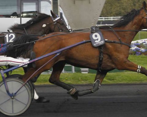 Quinté du mercredi 11 février 2026 à Vincennes: les pronostics