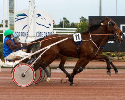 Quinté du jeudi 12 février 2026 à Cagnes: les pronostics