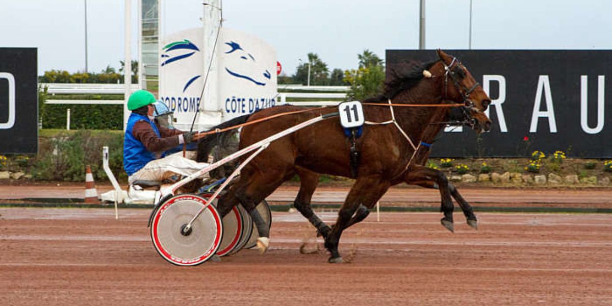 Quinté du jeudi 12 février 2026 à Cagnes: les pronostics