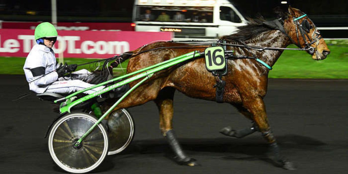 Quinté du vendredi 13 février 2026 à Vincennes: les pronostics