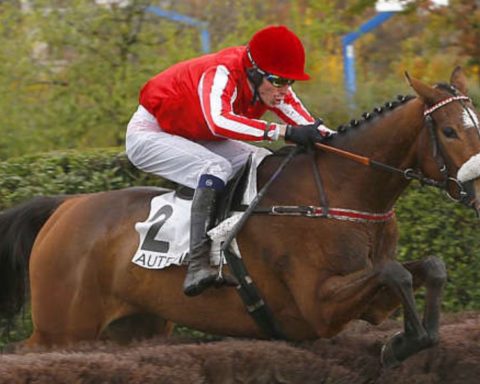 Quinté du samedi 14 février 2026 à Auteuil: les pronostics