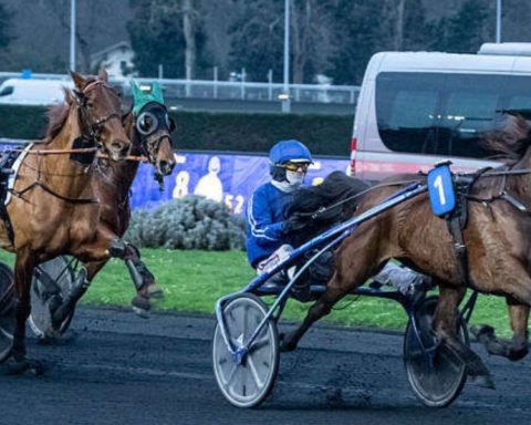 Quinté du dimanche 15 février 2026 à Vincennes: les pronostics