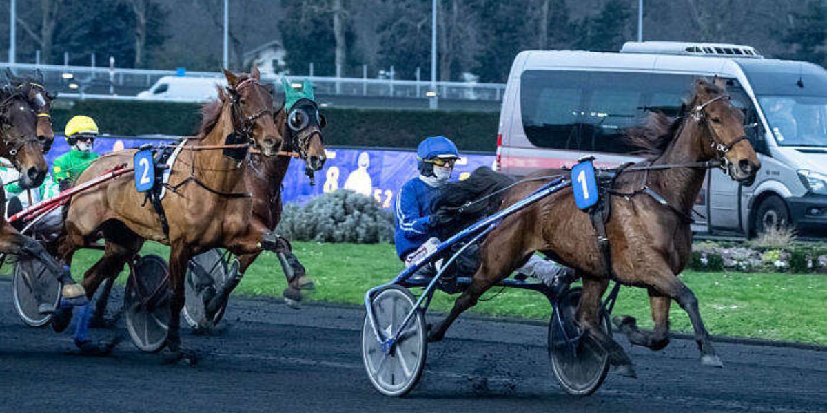 Quinté du dimanche 15 février 2026 à Vincennes: les pronostics