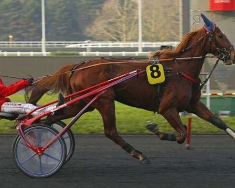 Quinté du lundi 16 février 2026 à Vincennes: les pronostics
