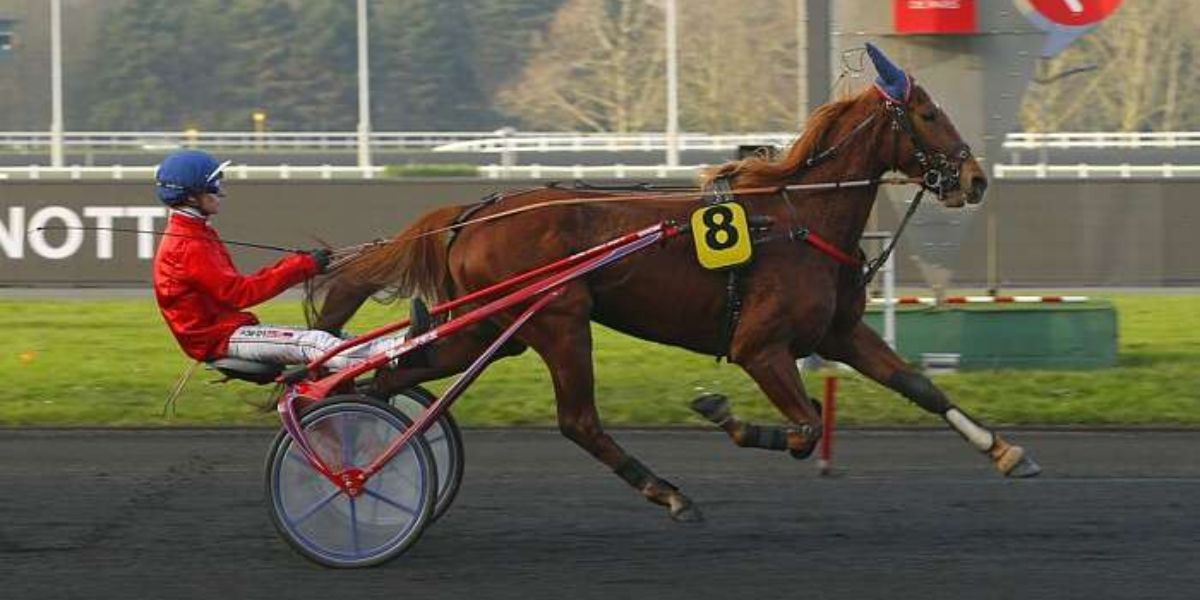 Quinté du lundi 16 février 2026 à Vincennes: les pronostics