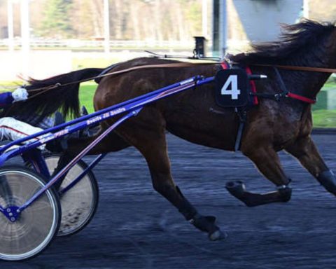 Quinté du mardi 17 février 2026 à Vincennes: les pronostics