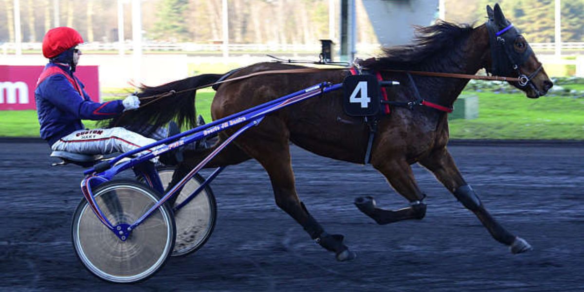 Quinté du mardi 17 février 2026 à Vincennes: les pronostics