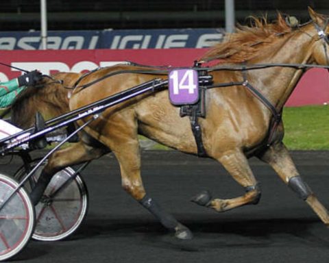 Quinté du vendredi 20 février 2026 à Vincennes: les pronostics