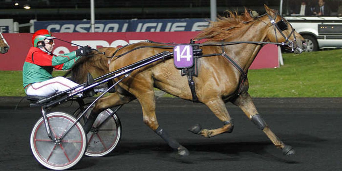 Quinté du vendredi 20 février 2026 à Vincennes: les pronostics