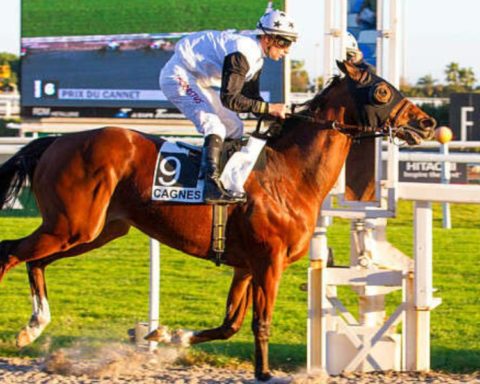 Quinté du samedi 21 février 2026 à Cagnes: les pronostics